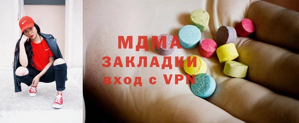 индика Козельск