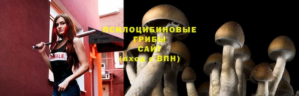 ECSTASY Корсаков
