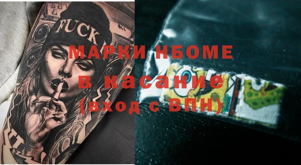 индика Козельск